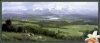 59171211633709_d50taotlotr012plthe_westfarthing1.jpg