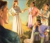 Zina Saunders — «The White Council».jpg
