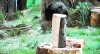 Beorn7.jpg