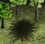 sol-souill--1be0020.jpg