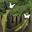 foret-elfique-1bdeedc.jpg