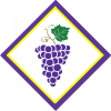 Герб Дорвиниона.png