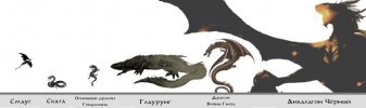 Dragons-1024x304.jpg