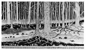 Mirkwood-by-J.-R.-R.-Tolkien-1024x596.png