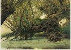 112-Old-Man-Willow-port.jpg