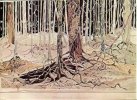 Fangorn.jpg
